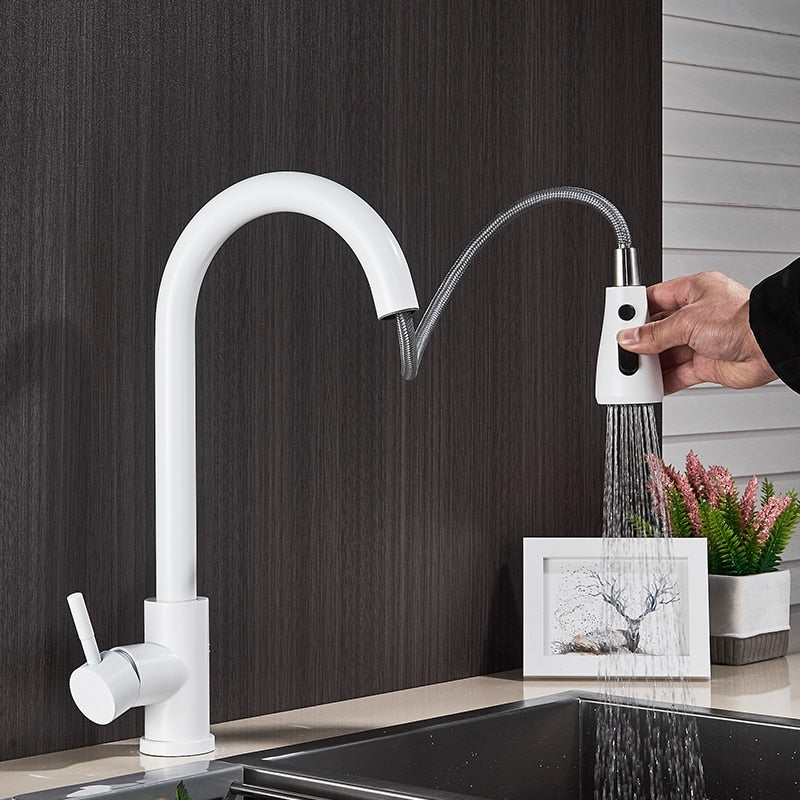 Kitchen Sink Mixer Faucet Sprayer