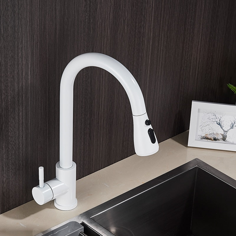 Kitchen Sink Mixer Faucet Sprayer